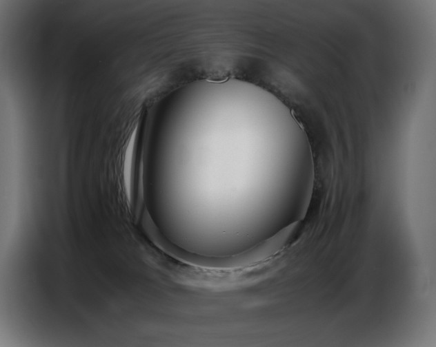 X0000086740037200704131139