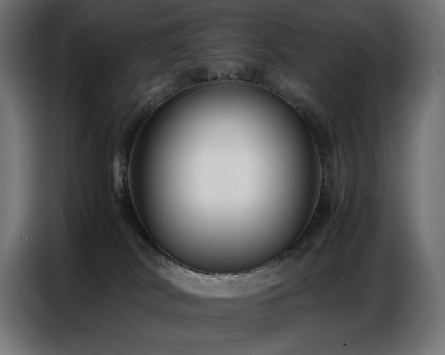X0000086740038200704131139