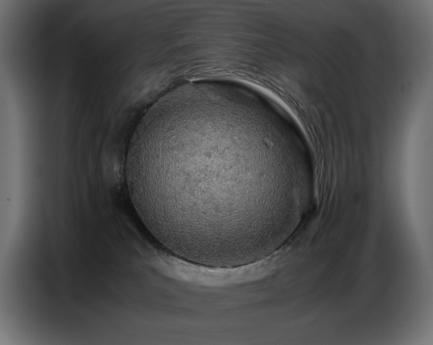 X0000086740039200704131139