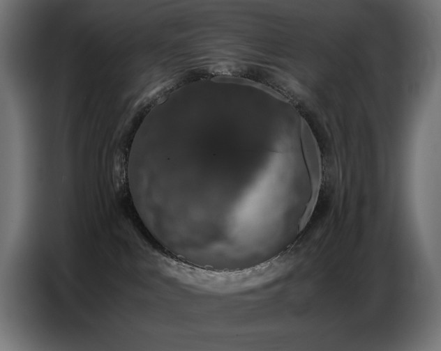 X0000086740043200704131139