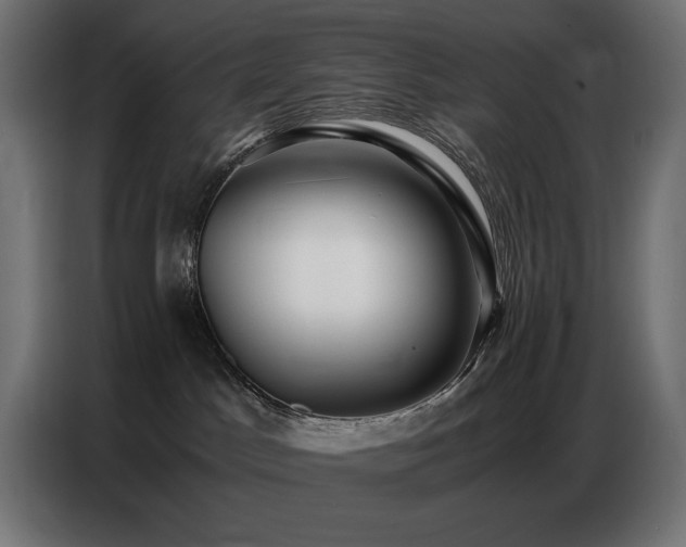 X0000086740045200704131138