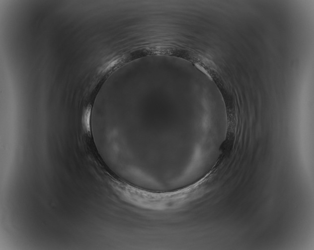 X0000086740047200704131138