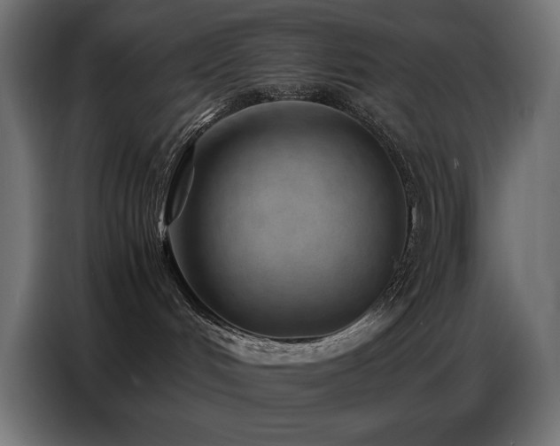 X0000086740048200704131138