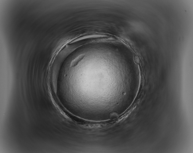 X0000086740049200704131138
