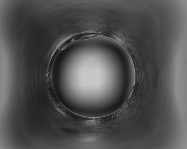 X0000086740050200704131138
