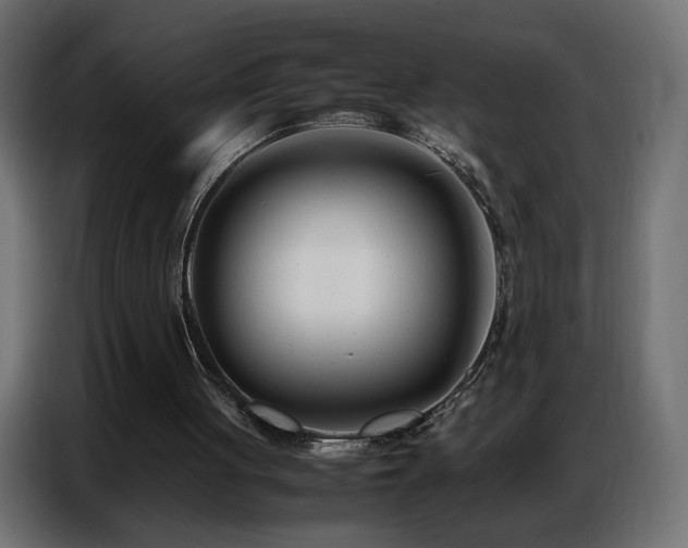 X0000086740051200704131138