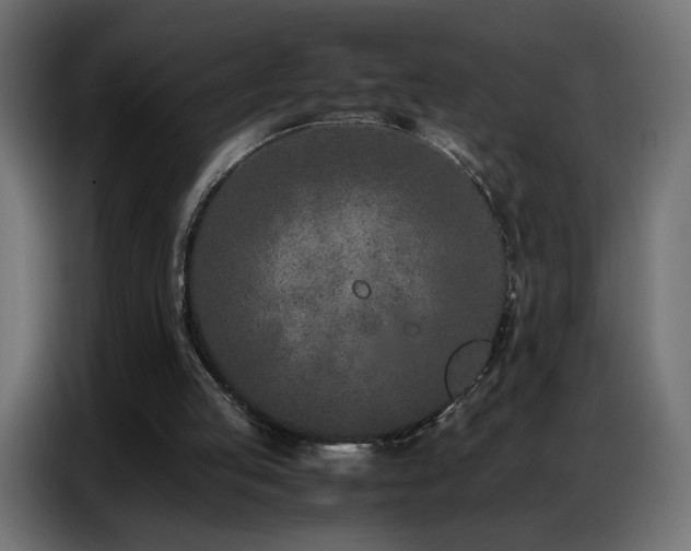 X0000086740053200704131138