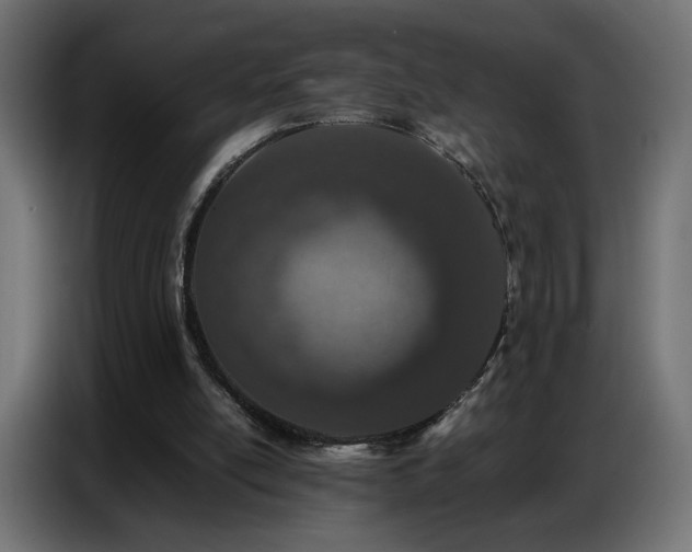 X0000086740054200704131138
