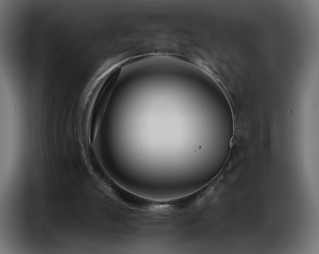 X0000086740055200704131138