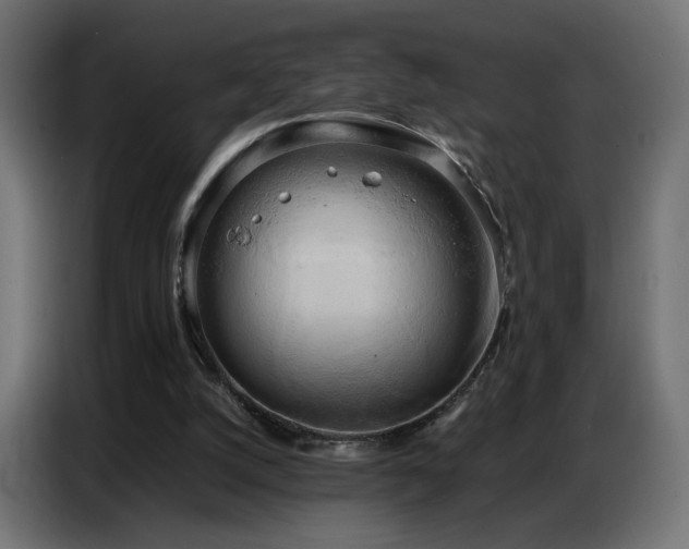 X0000086740056200704131138