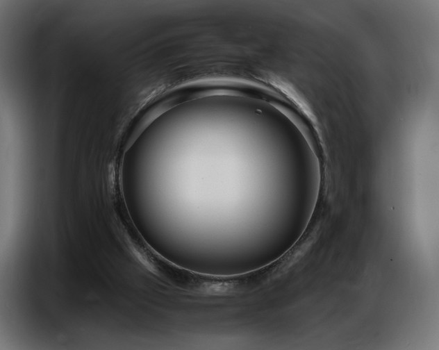 X0000086740057200704131138