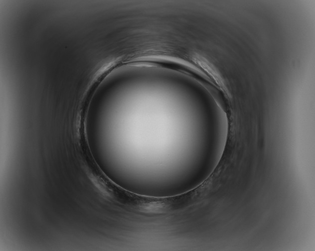X0000086740058200704131138