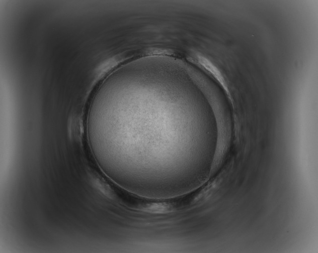 X0000086740059200704131138