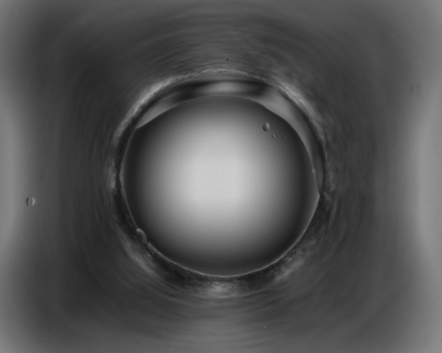 X0000086740060200704131138