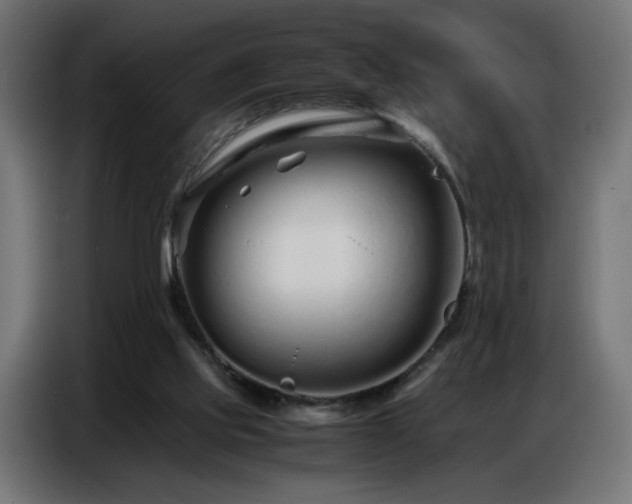 X0000086740061200704131138