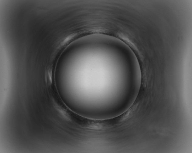 X0000086740062200704131138