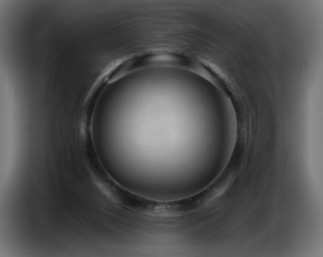 X0000086740064200704131138