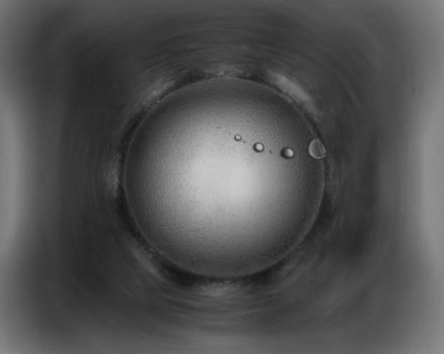 X0000086740065200704131138