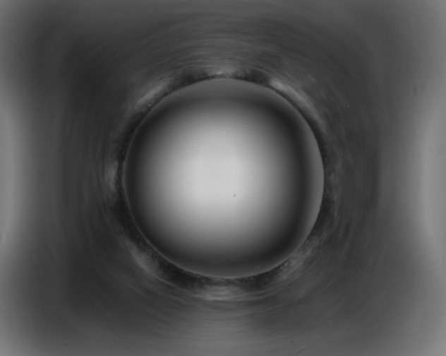 X0000086740066200704131138