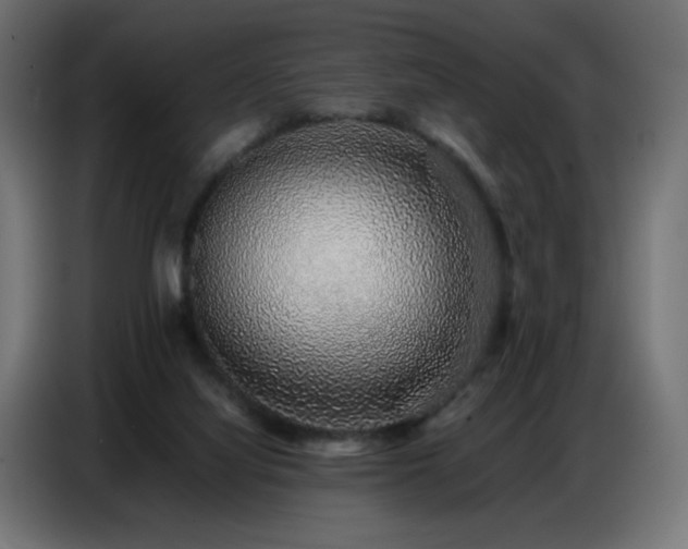 X0000086740068200704131138
