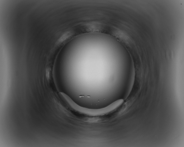 X0000086740071200704131138