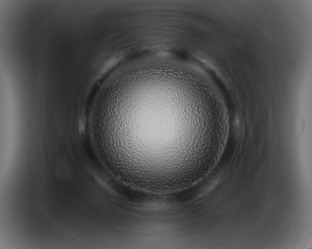 X0000086740072200704131138