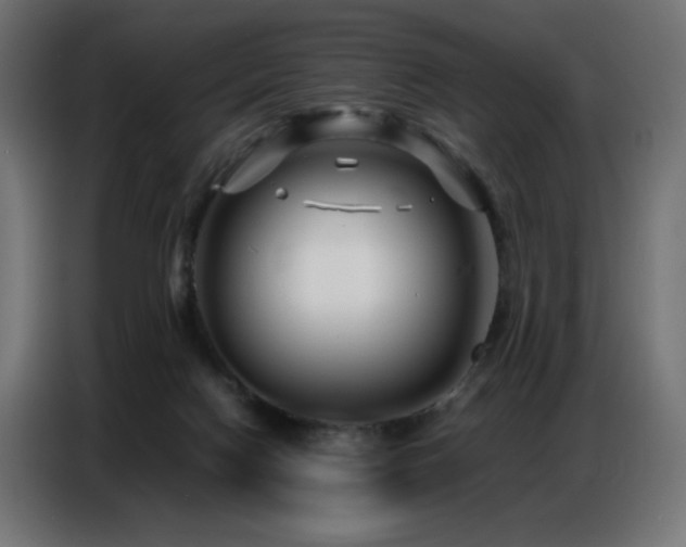 X0000086740074200704131138