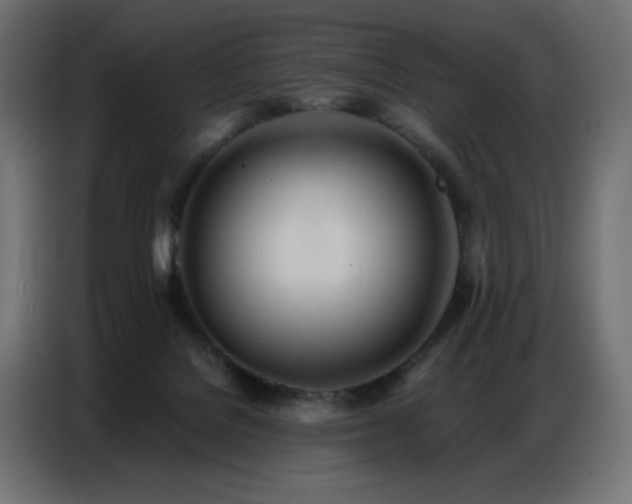 X0000086740076200704131138