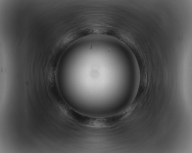 X0000086740078200704131138