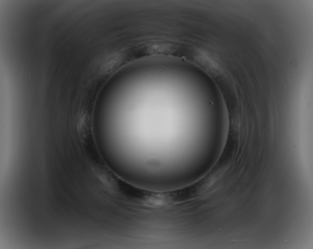 X0000086740079200704131138