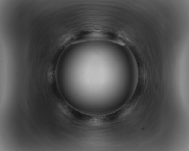 X0000086740080200704131138