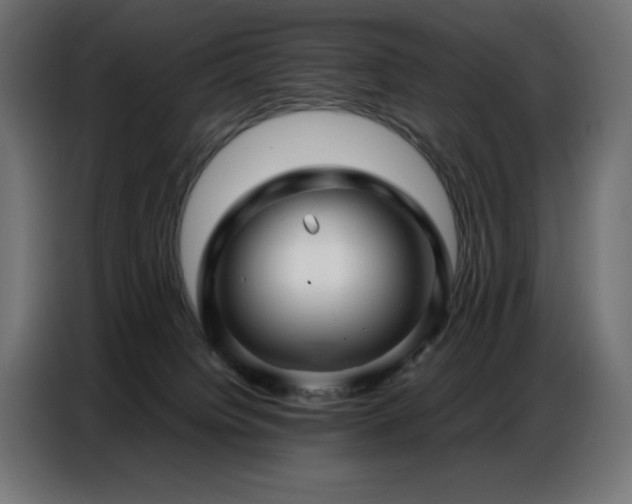 X0000086740084200704131138