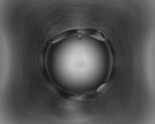 X0000086740086200704131138
