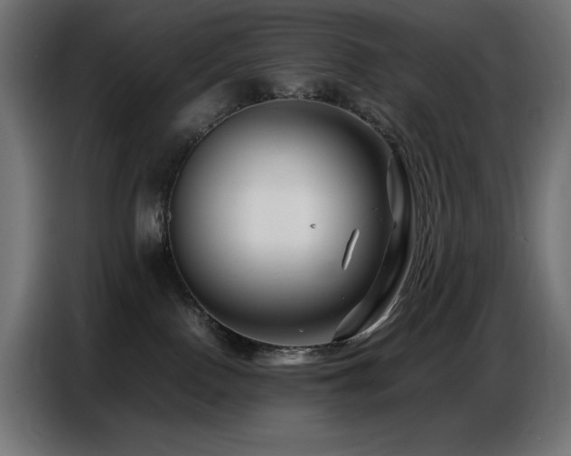 X0000086740090200704131138