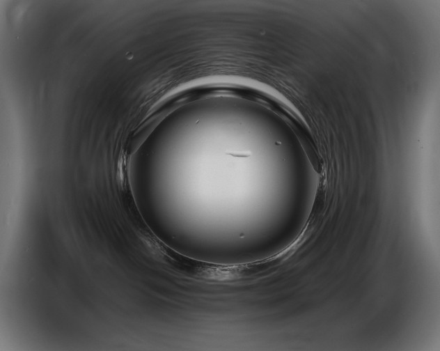 X0000086740094200704131138