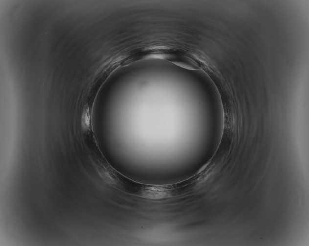 X0000086740095200704131138