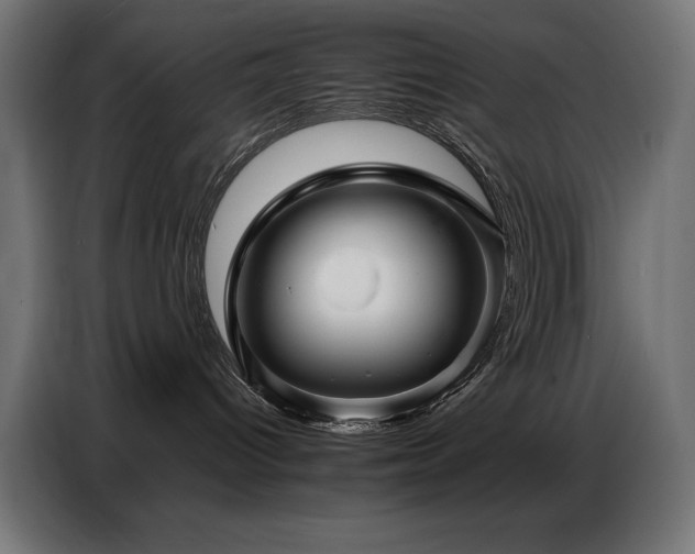 X0000086740096200704131138
