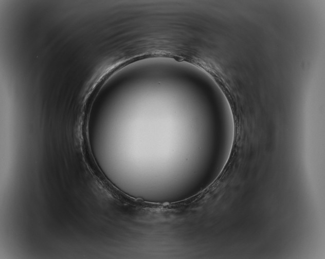 X0000086740098200704131138