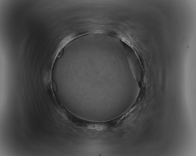 X0000086740099200704131138