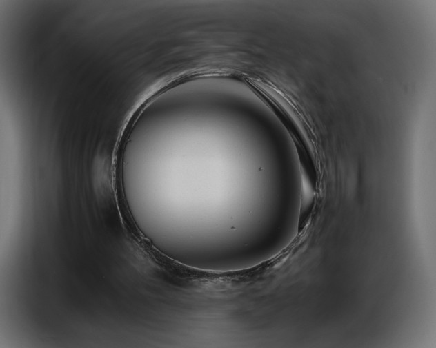 X0000086740100200704131138