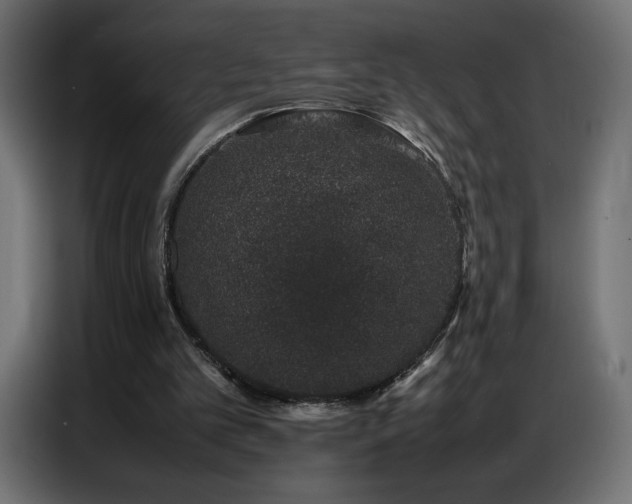 X0000086740101200704131138