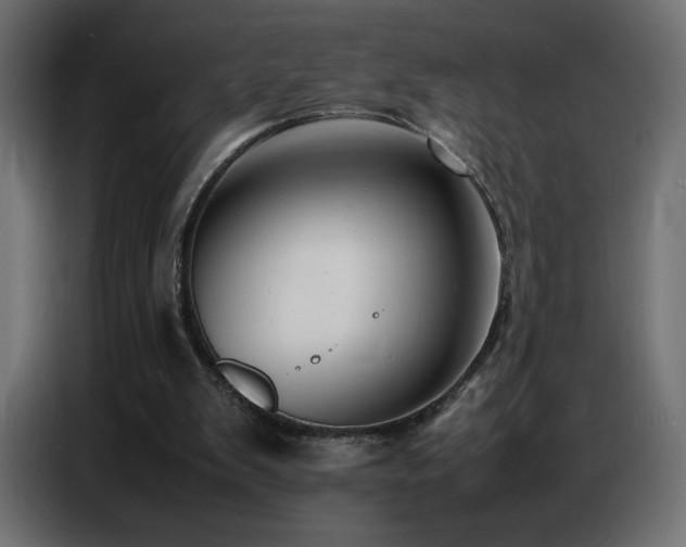 X0000086740103200704131138