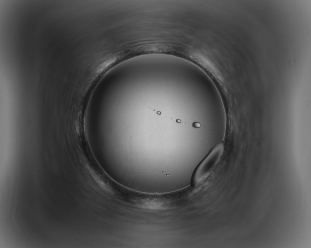 X0000086740105200704131138
