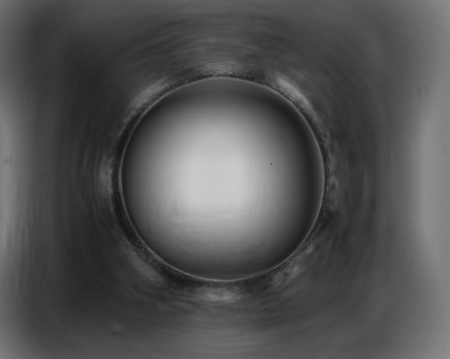 X0000086740106200704131138