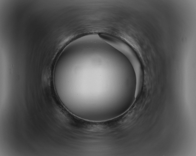 X0000086740107200704131138