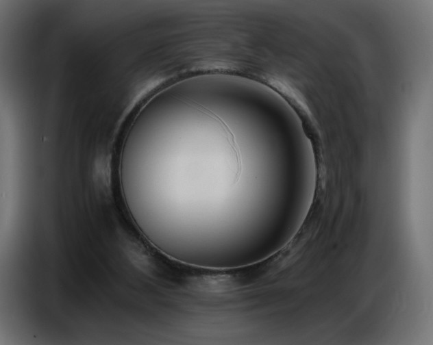 X0000086740108200704131138