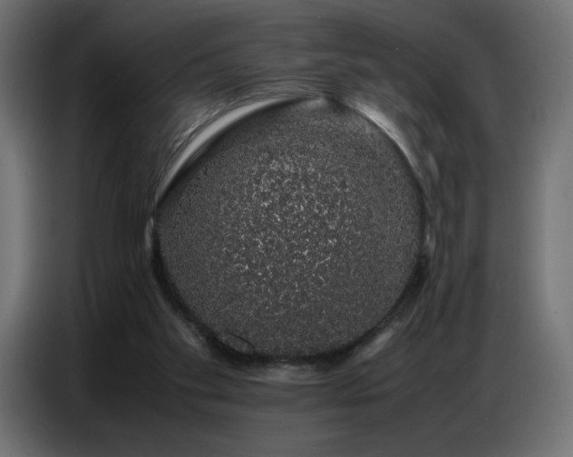 X0000086740109200704131138