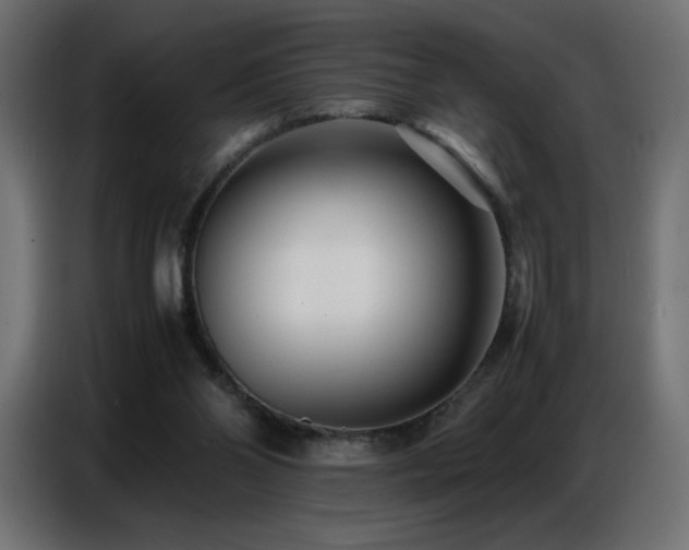 X0000086740110200704131138
