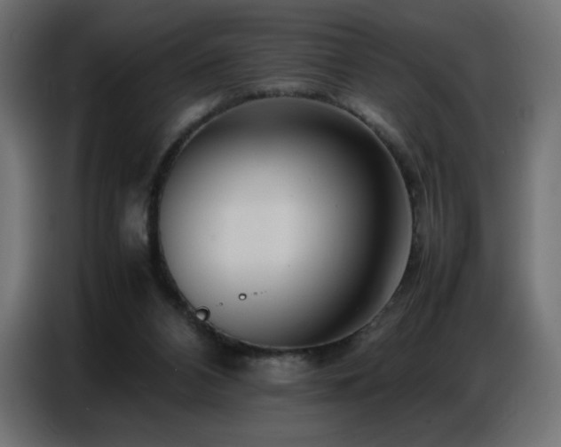 X0000086740112200704131137