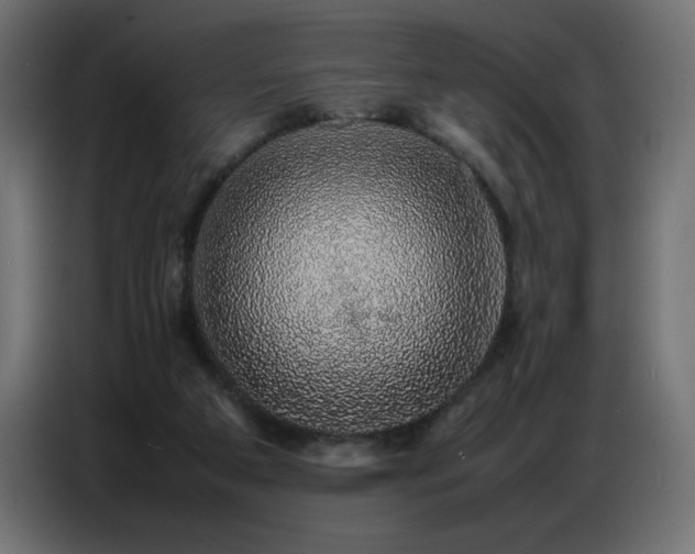 X0000086740113200704131137